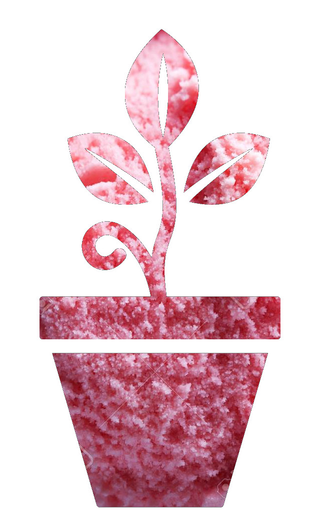 Gelato