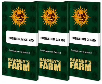 картинка Bubblegum Gelato от магазина Semki
