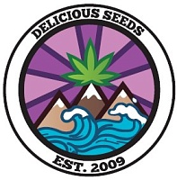 картинка Delicious Cookies Auto от магазина Semki
