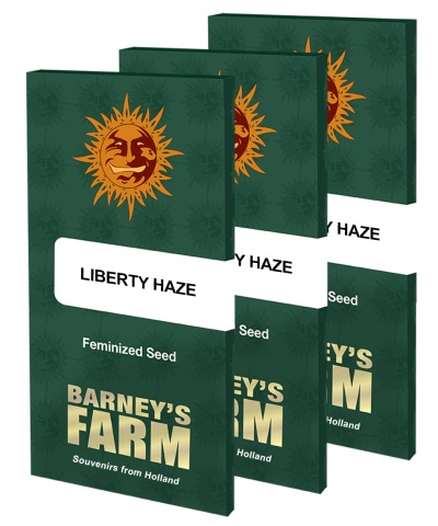 картинка Liberty Haze от магазина Semki