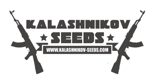 картинка Amnesia Molotov от магазина Semki