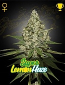 картинка Super Lemon Haze от магазина Semki